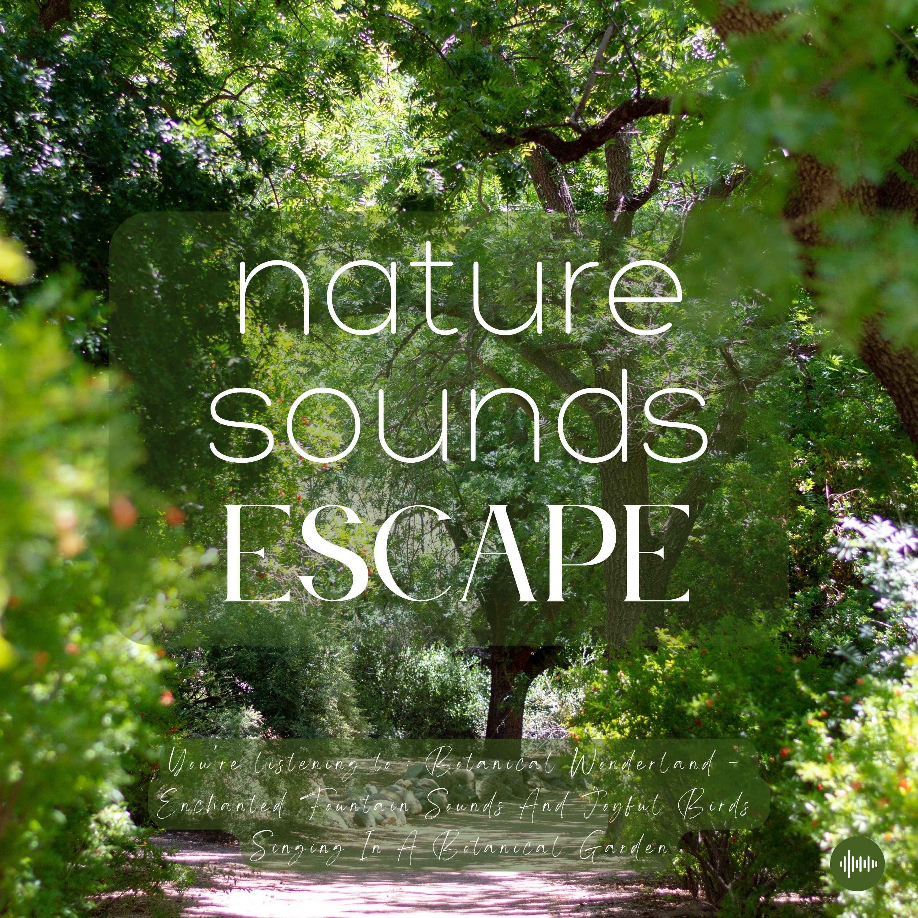 Enchanted Fountain Sounds & Joyful Birds Singing In A Botanical Garden | Relaxing Nature Sounds For Sleep, Meditation, Relaxation Or Focus | Sleep Sounds, Sleep Fast, Insomnia, Study, Zen, Rain, Ocean Waves, White Noise For Sleep, Sons De La Nature