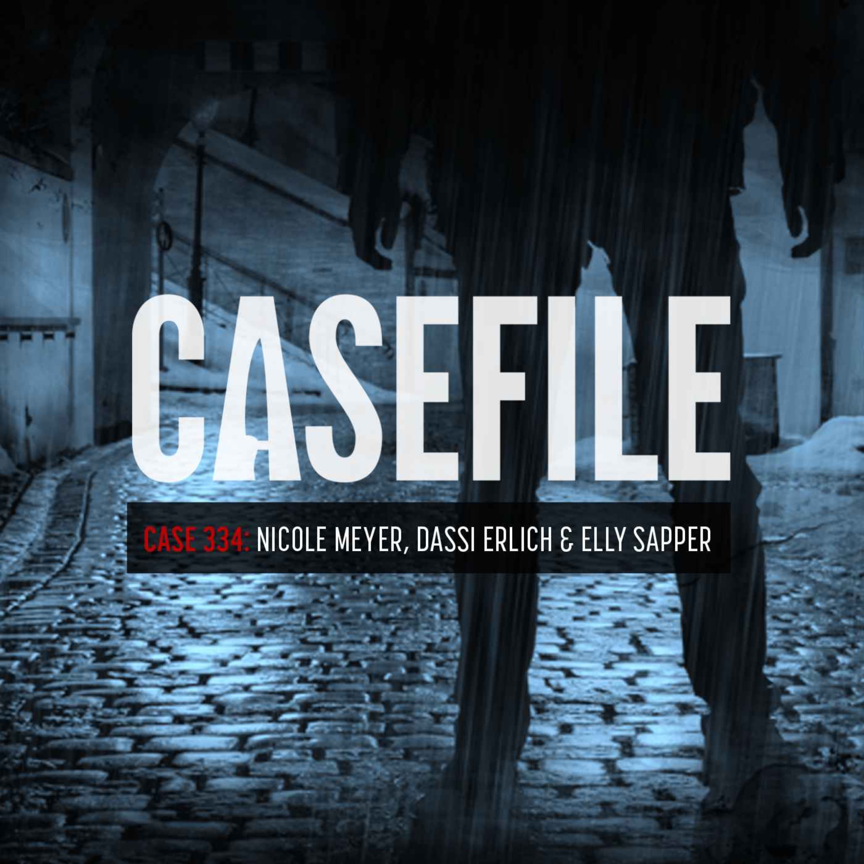 Case 334: Nicole Meyer, Dassi Erlich & Elly Sapper