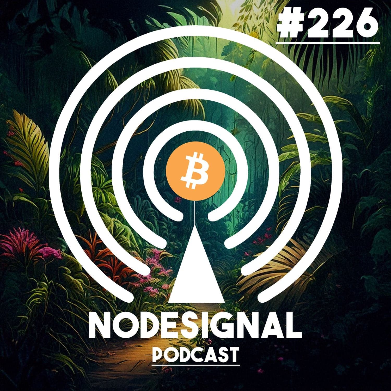 Nodesignal-Tour - E226 - Surinam