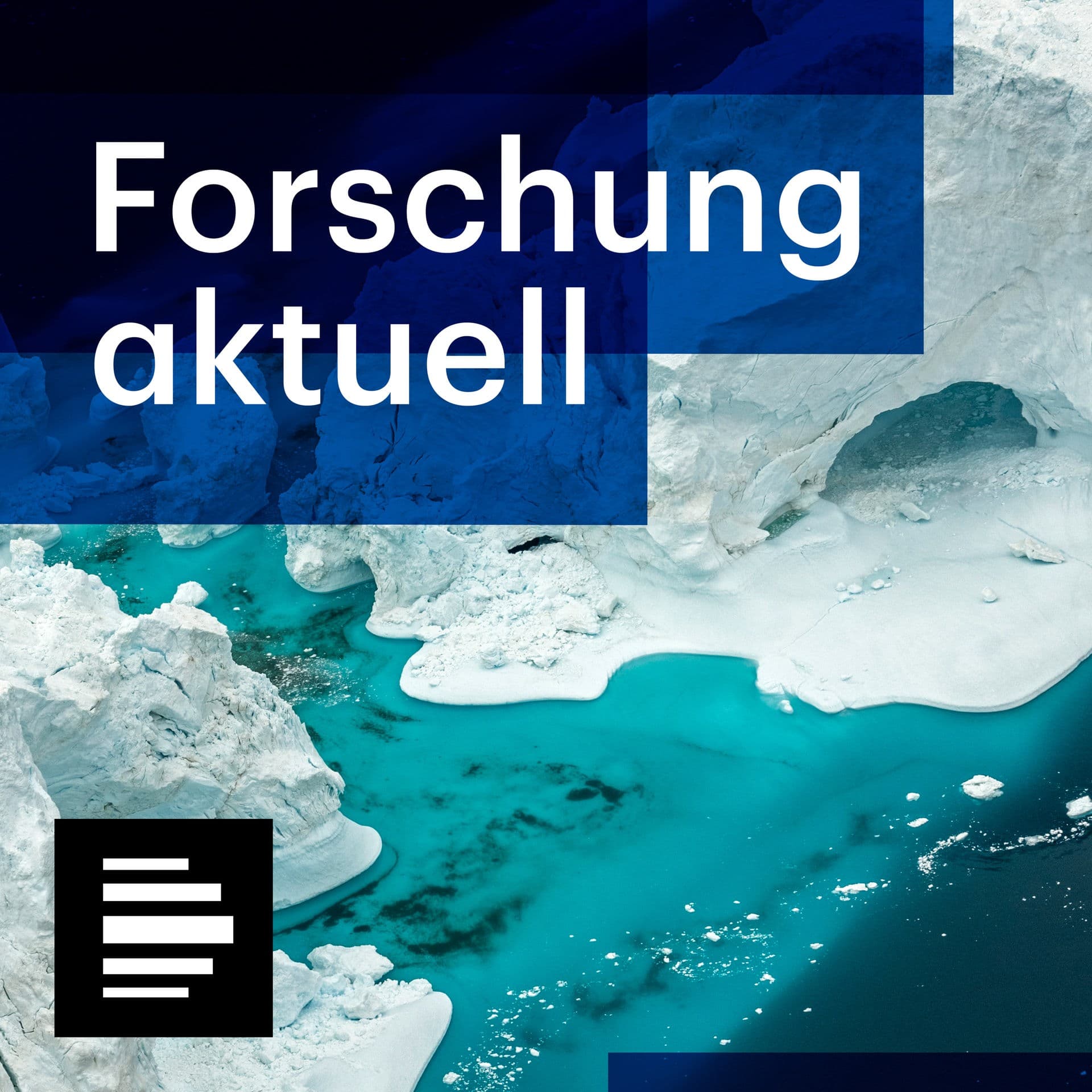 Frühmenschen / Forschungsbergwerk / bewegte Röntgenaufnahmen
