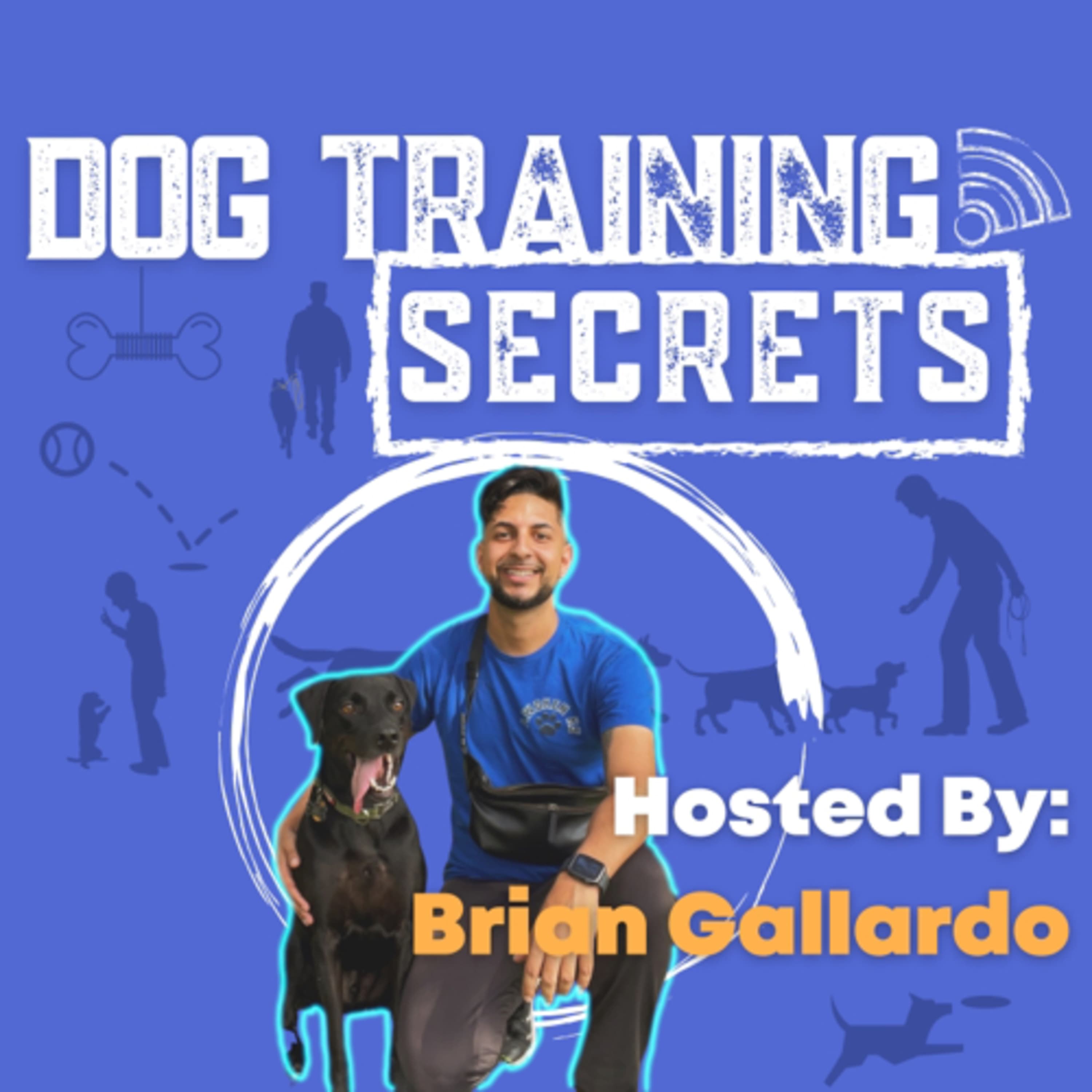 The Secret to get your dog to listen anywhere