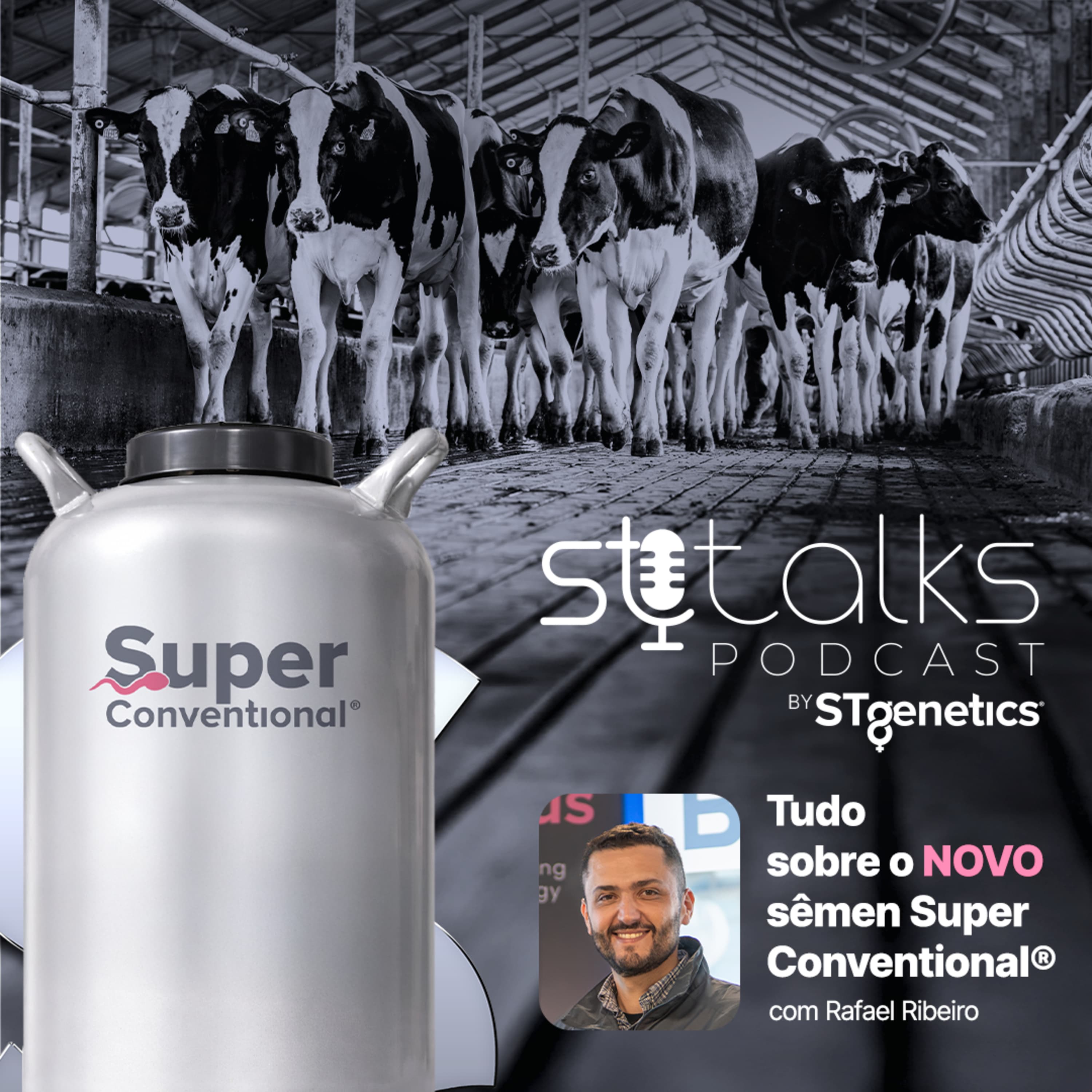 STtalks #392 - Tudo sobre o NOVO sêmen Super Conventional® com Rafael Ribeiro