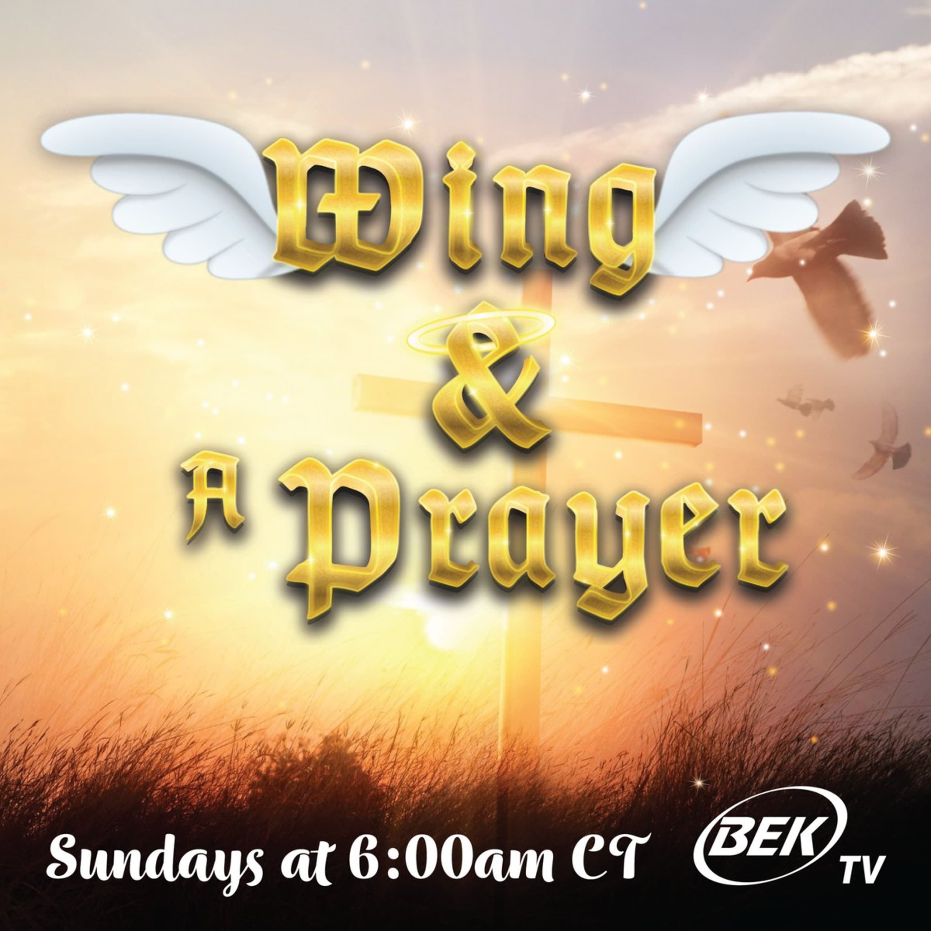 Wing and a Prayer Dec 7, 2025 Greg Hager joins and the importance of music in fellowship roars.