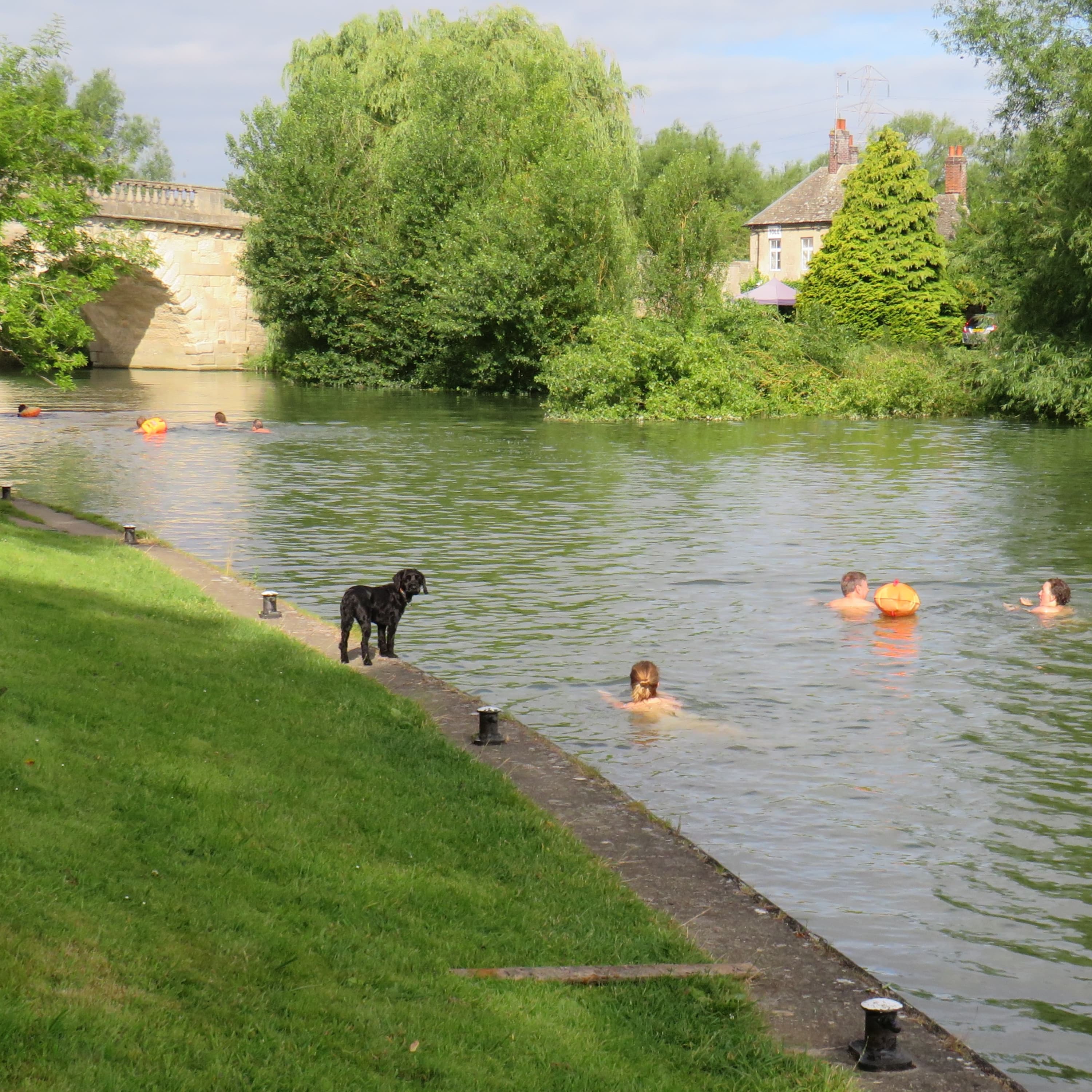 Stanley Ulijaszek Swimming to Work by the River Thames