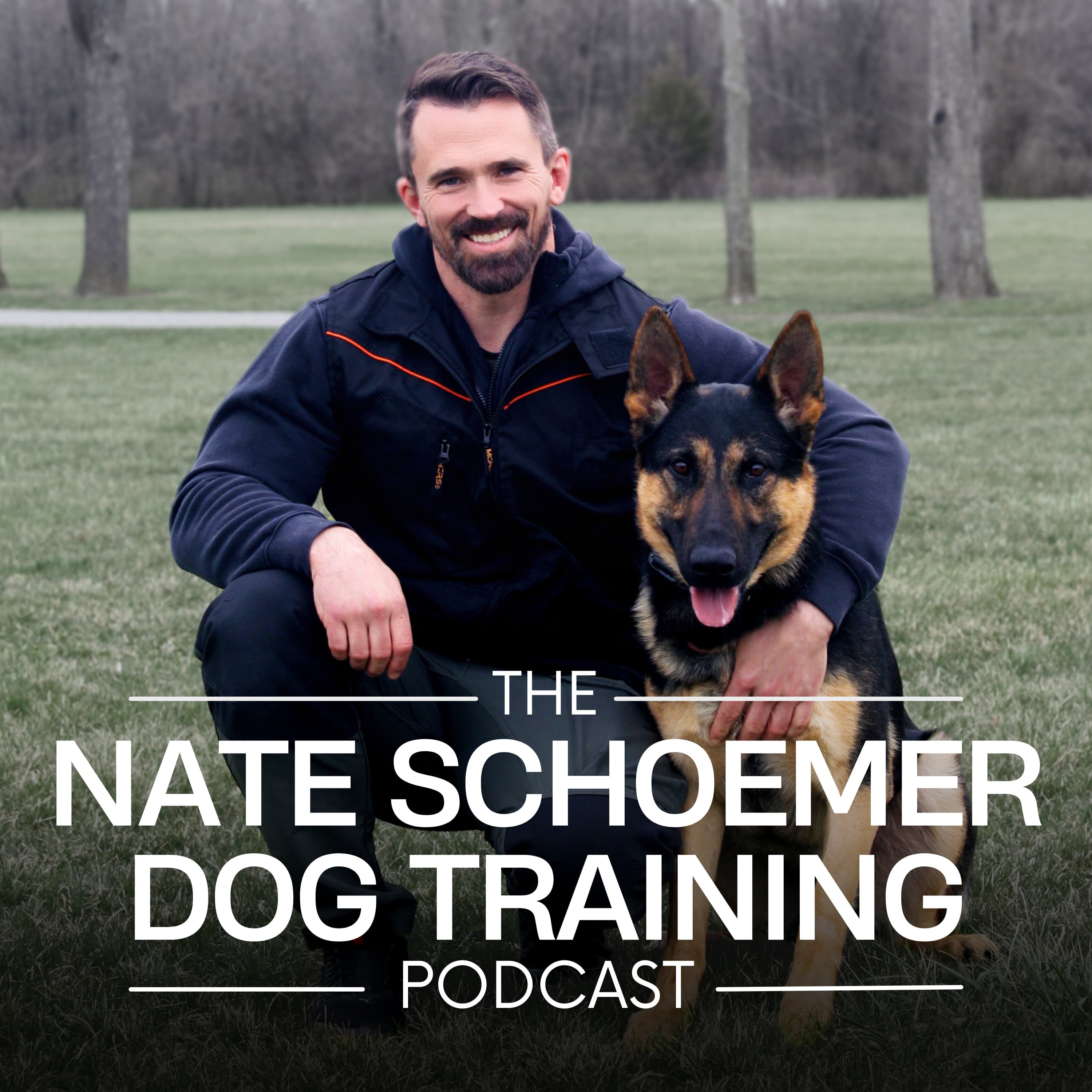 Ep. 8 - Steve Baxley on Collies, Service Dogs, and 45+ Years of Breeding Excellence