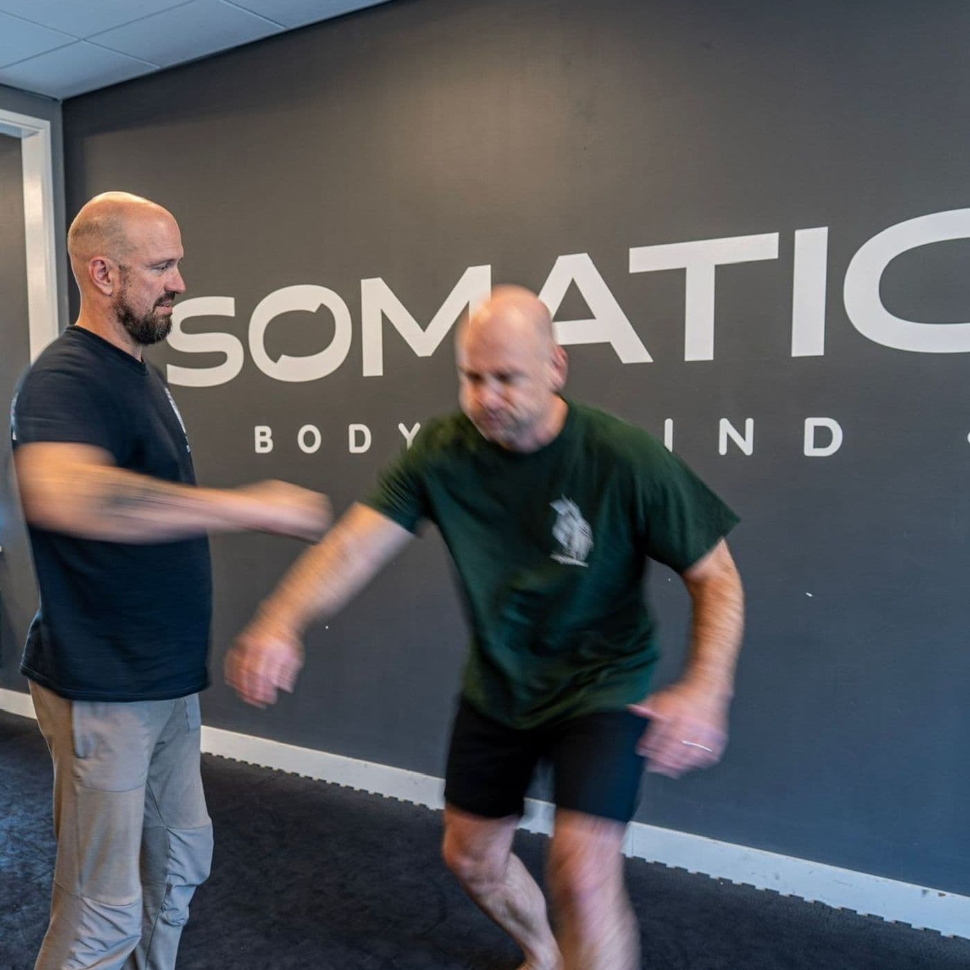 Patrick van het Nederend over Martial Arts Systema