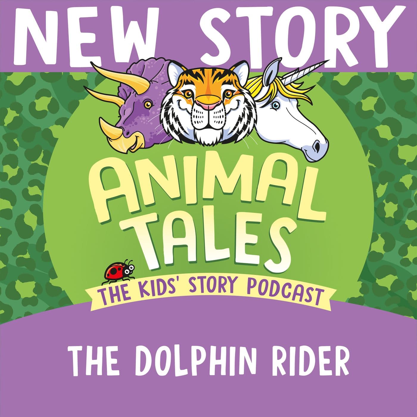 The Dolphin Rider