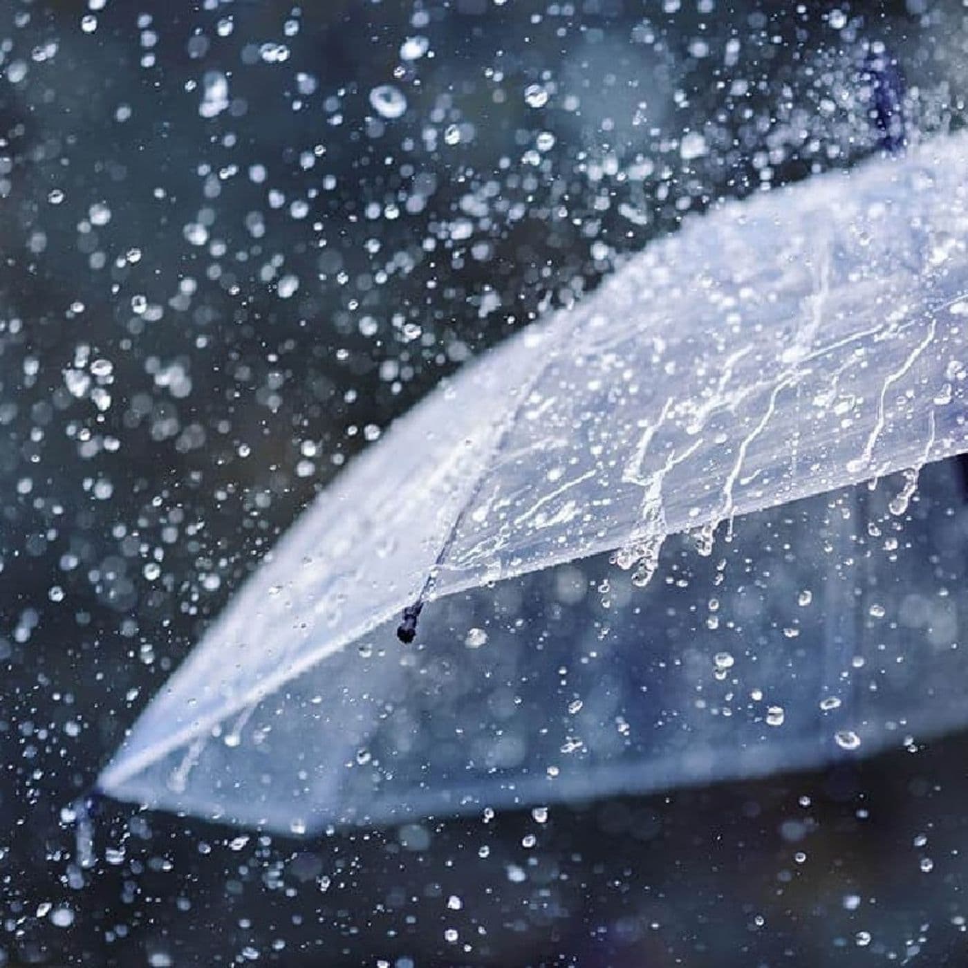 Lesson 93 - Vocabulares ya mvula (Rains Vocabularies)