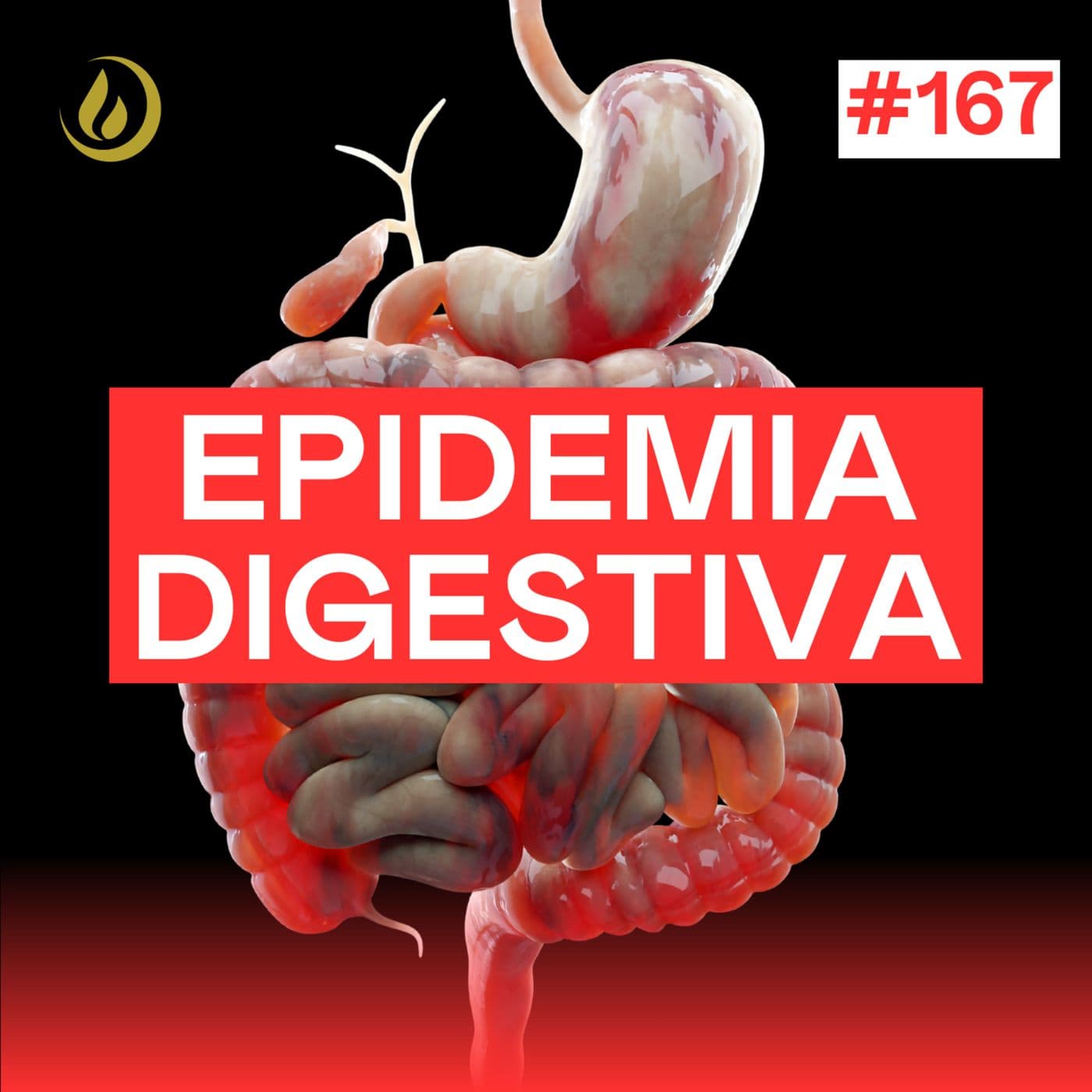 167 - 4 EXPERTOS explican cómo RECUPERAR el control de tu SISTEMA DIGESTIVO y equilibrar tu MICROBIOTA