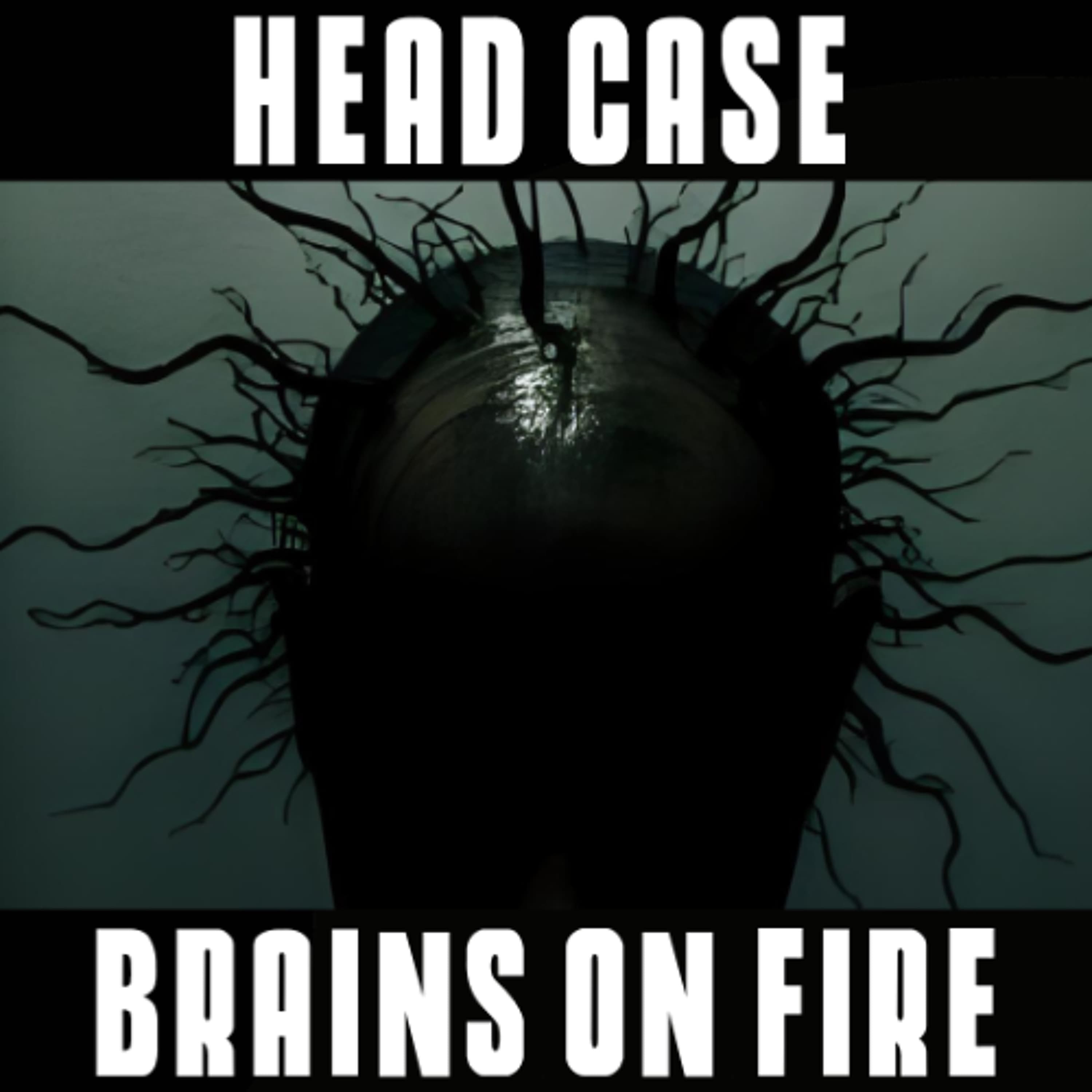 Show sample for 12/11/25: HEAD CASE - BRAINS ON FIRE W/ DR. JOHN HALL AND CHRISTOPHER JORDAN
