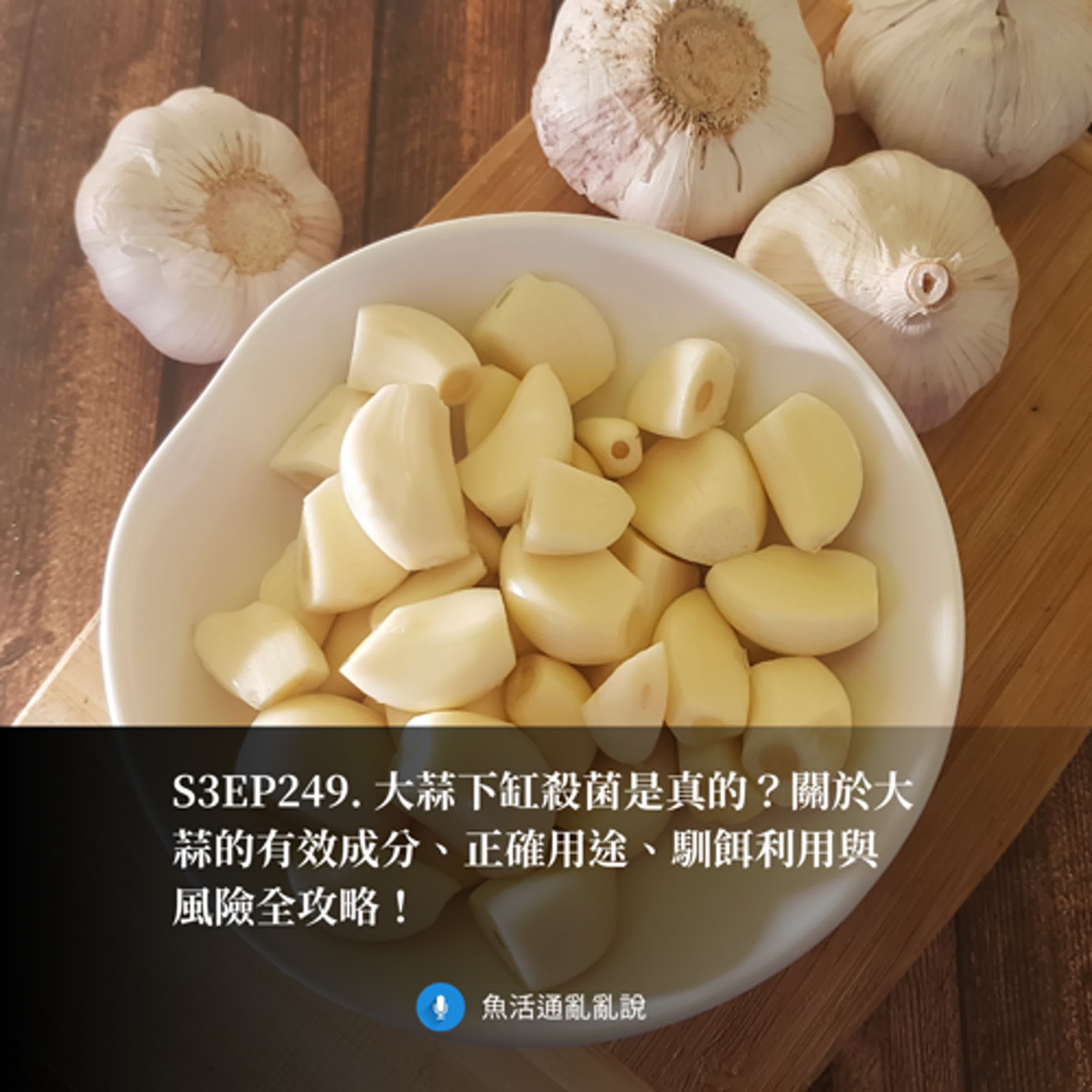 S3EP249. 大蒜下缸殺菌是真的?關於大蒜的有效成分、正確用途、馴餌利用與風險全攻略!