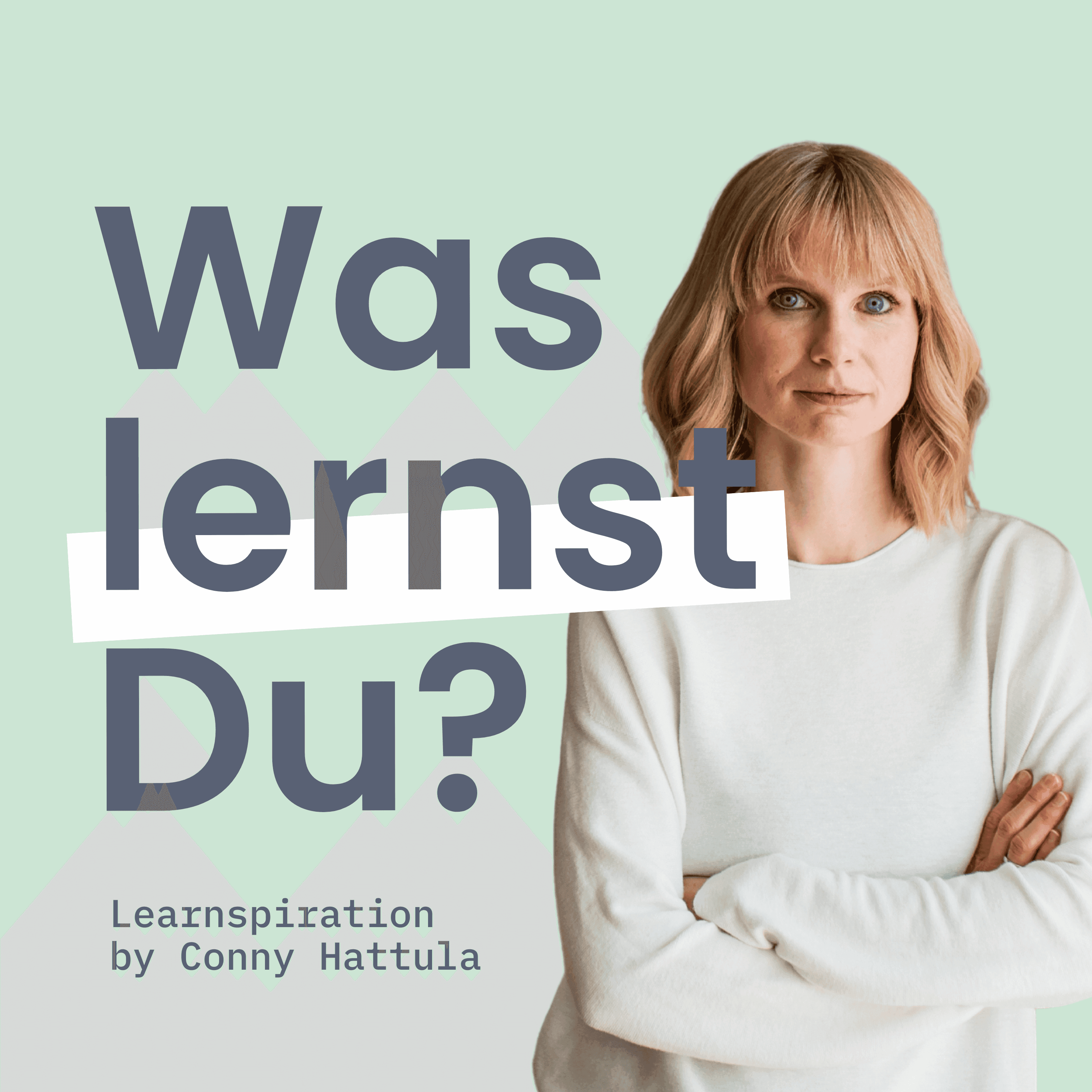 #143 - Lernen ohne Schnörkel: Fokus, gute Fragen & KI – Conny Hattula im LehrHelden-Interview