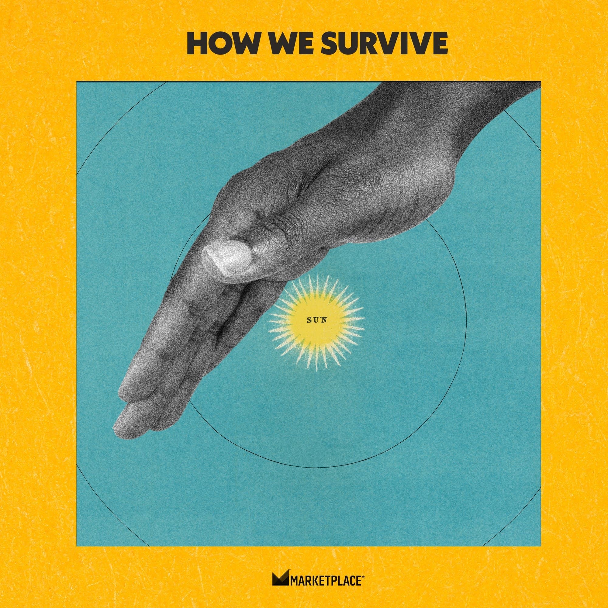 From "How We Survive": How to Dim the Sun