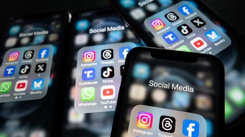 Government moving to introduce a digital wallet to verify the age of social media users.