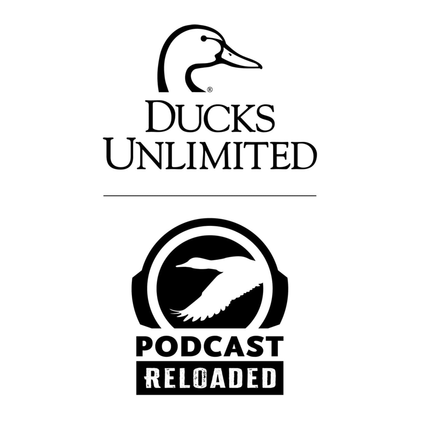 RELOADED EP254 | Common Correction For Your Retriever