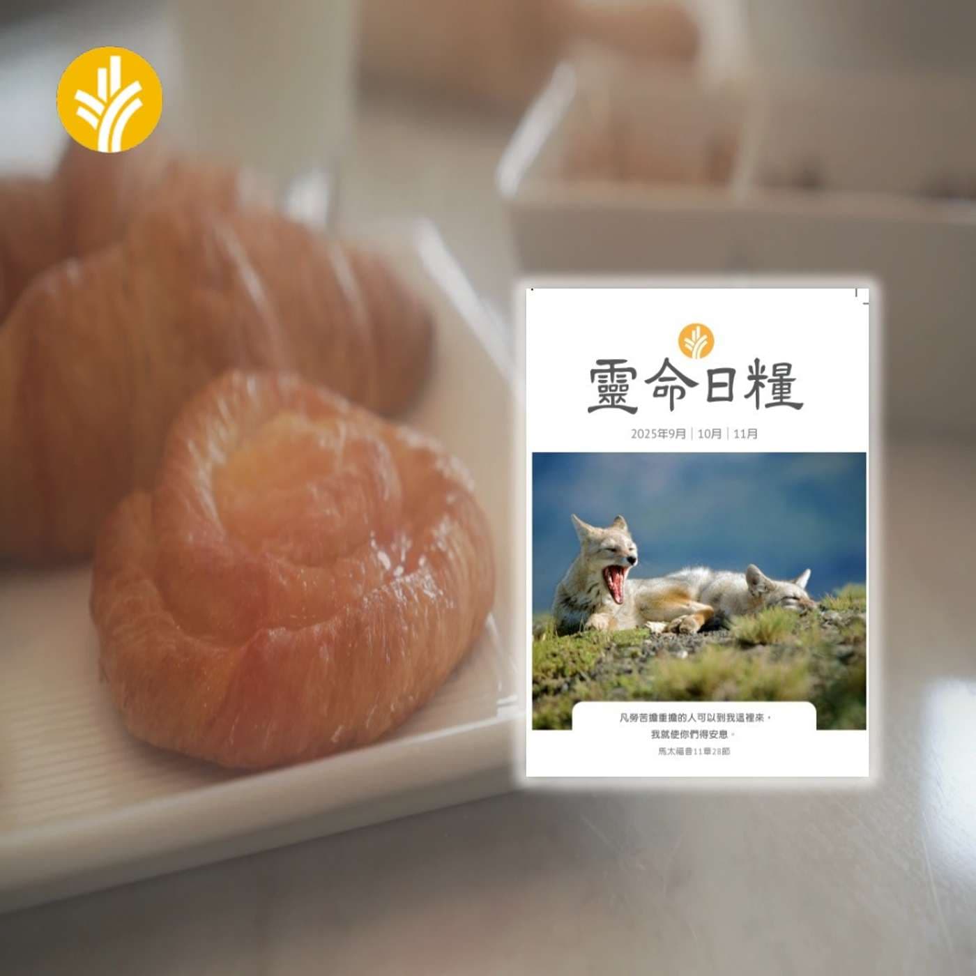 11月25日 向上帝呼求