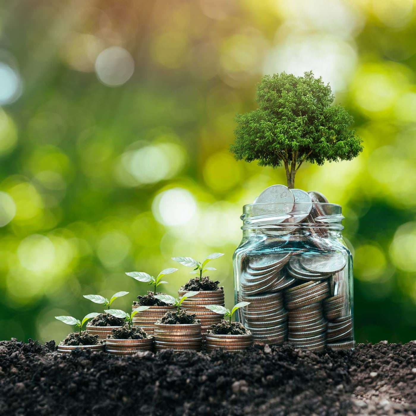 Playing the (New) Money Game - how to recreate sustainable money with Stef Kuypers of Happonomy