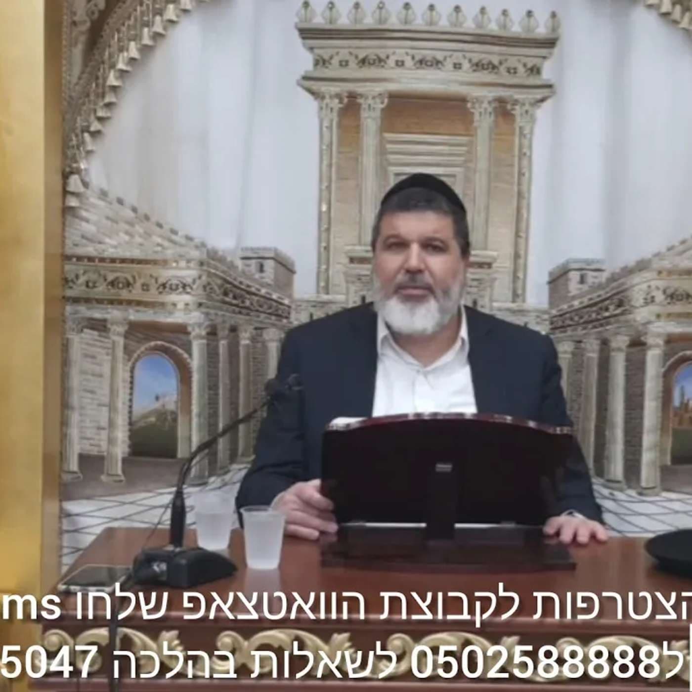 שיעור הרב הגאון אופיר מלכא שליטא שיעור82 מעבד,מליחה סימן שכא סעיף ד,ה,ו מב"ה יביע אומר ח בחשוון תשפו