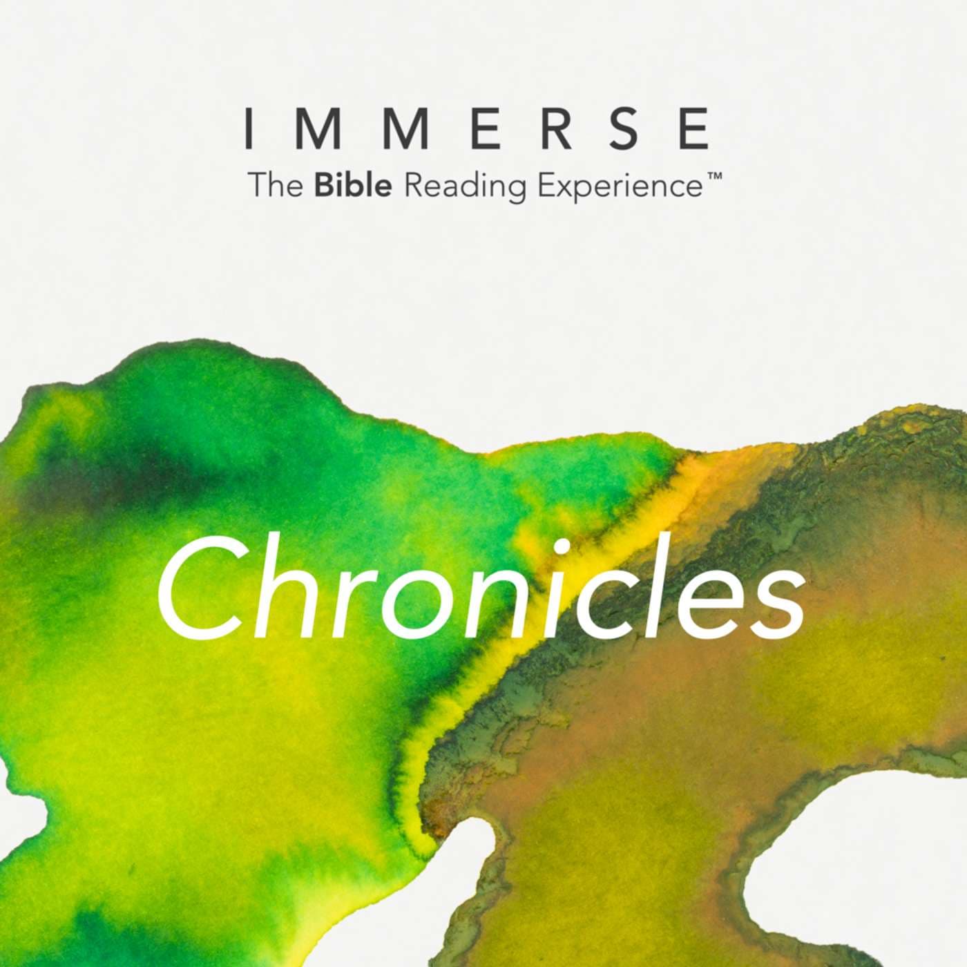 Immerse Chronicles Day 344 Year 2 Bible Reading