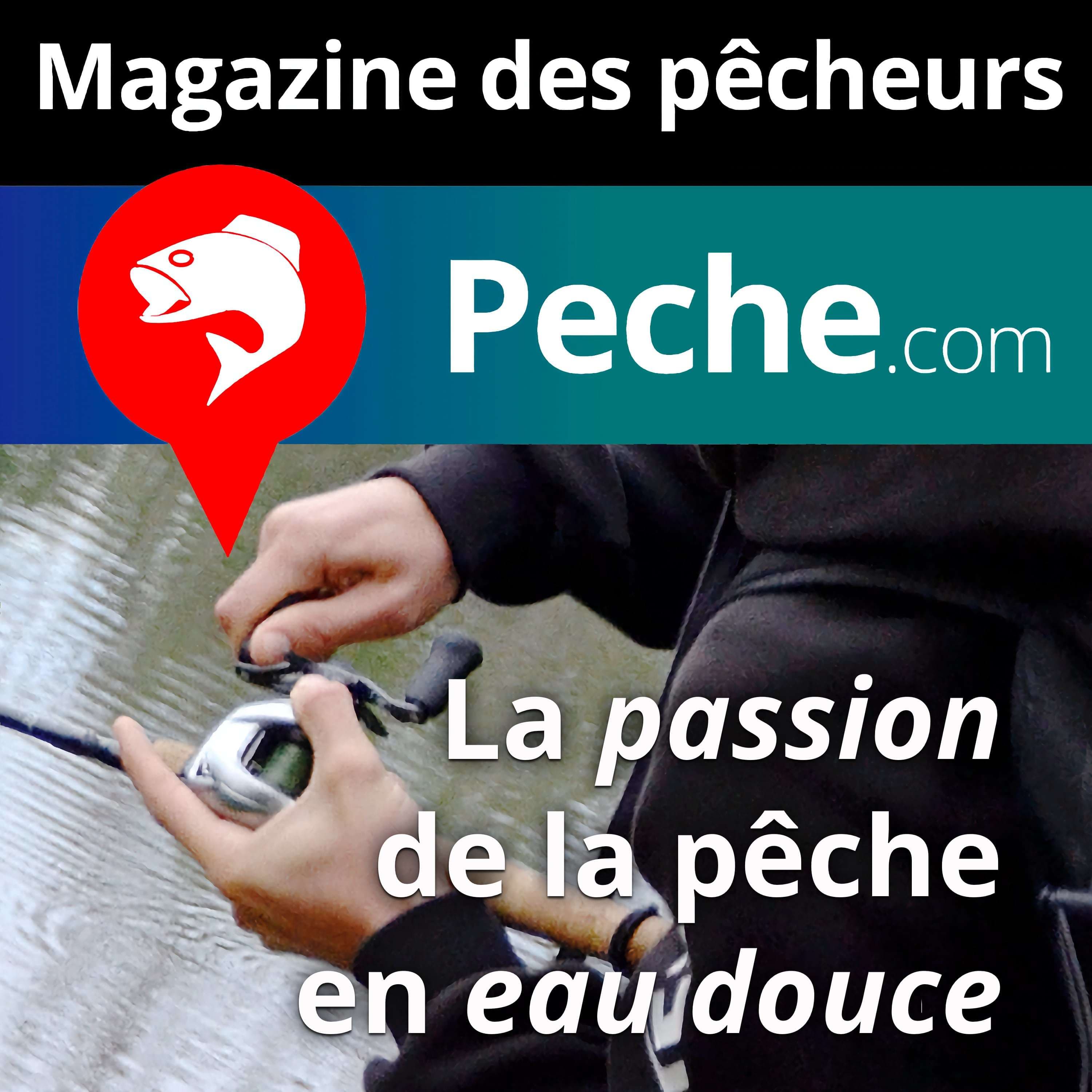 Faut-il toujours pêcher le brochet avec de gros leurres en hiver