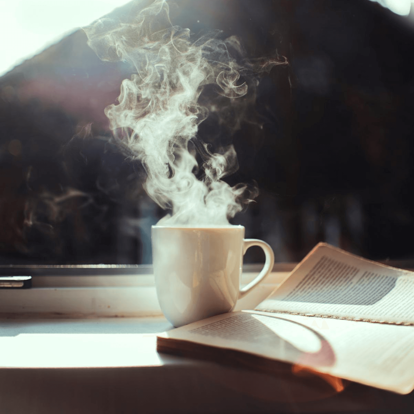 Lesson 3: Part 2 - Reading - Projection, Judgment and Forgiveness