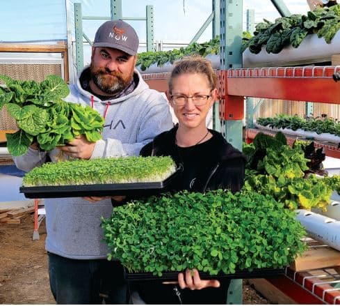 The Art Box - Episode 359 - Fresh Ideas with IKA Greens: A Conversation with Kirsten Pope