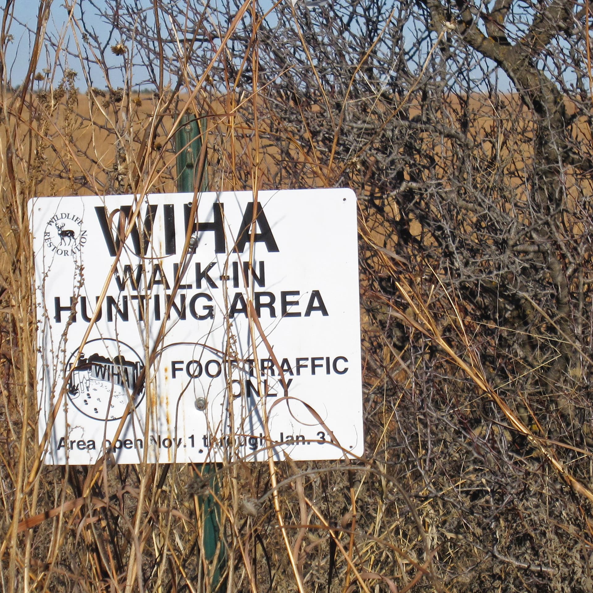 Insider: the ultimate guide to public-access hunting ground