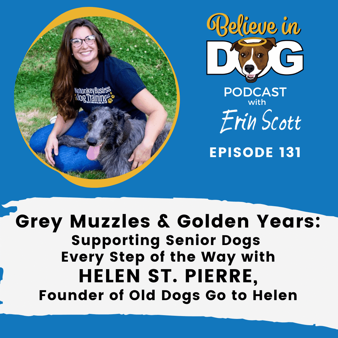 Grey Muzzles & Golden Years: Supporting Senior Dogs Every Step of the Way with Helen St. Pierre
