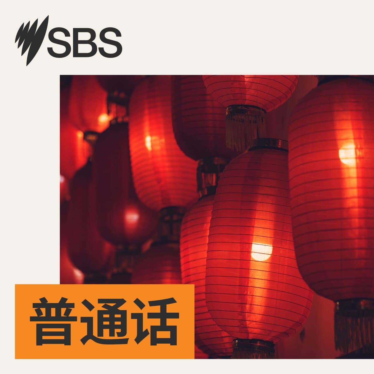 期望之下:走进维州精英中学华人老师的日常
