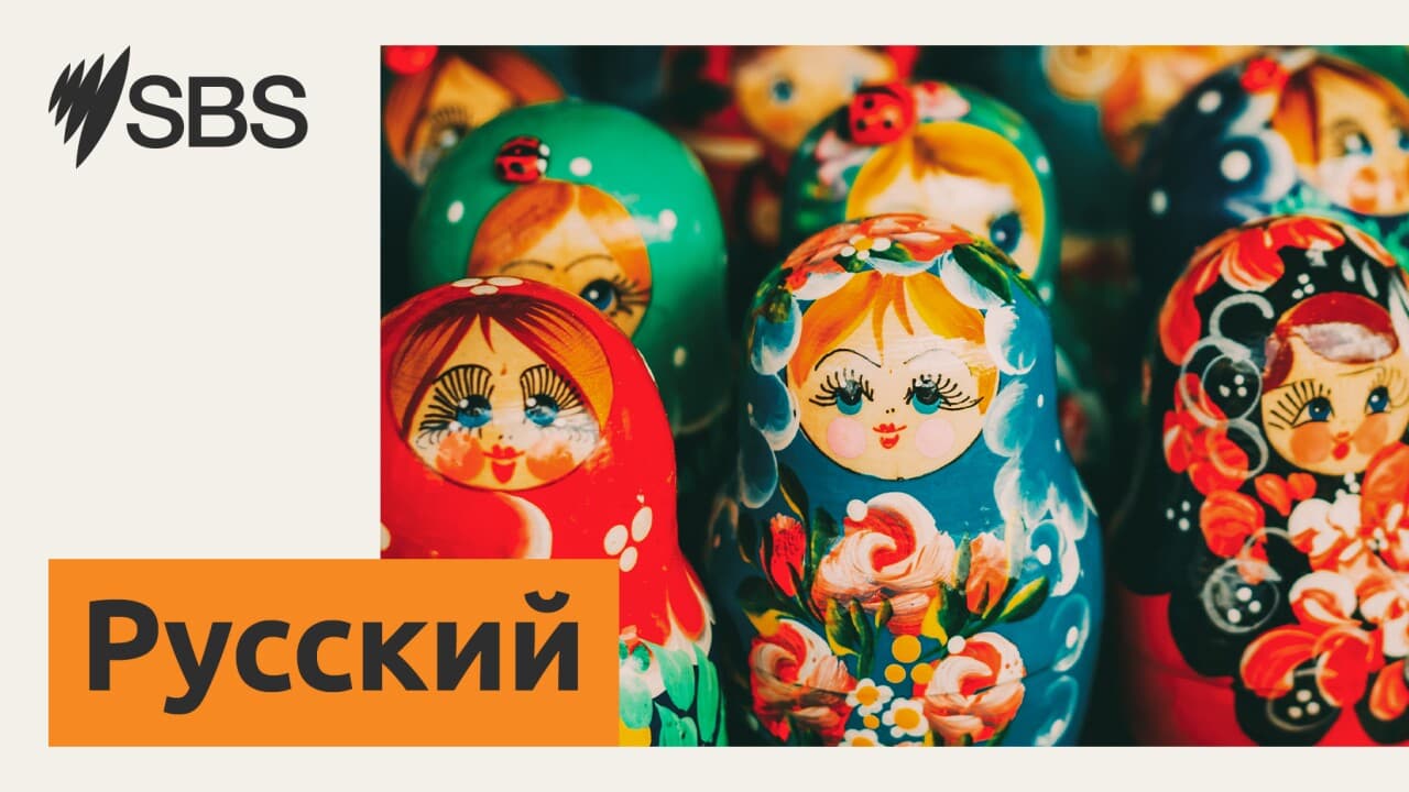 Новости SBS на русском языке — 8.12.2025