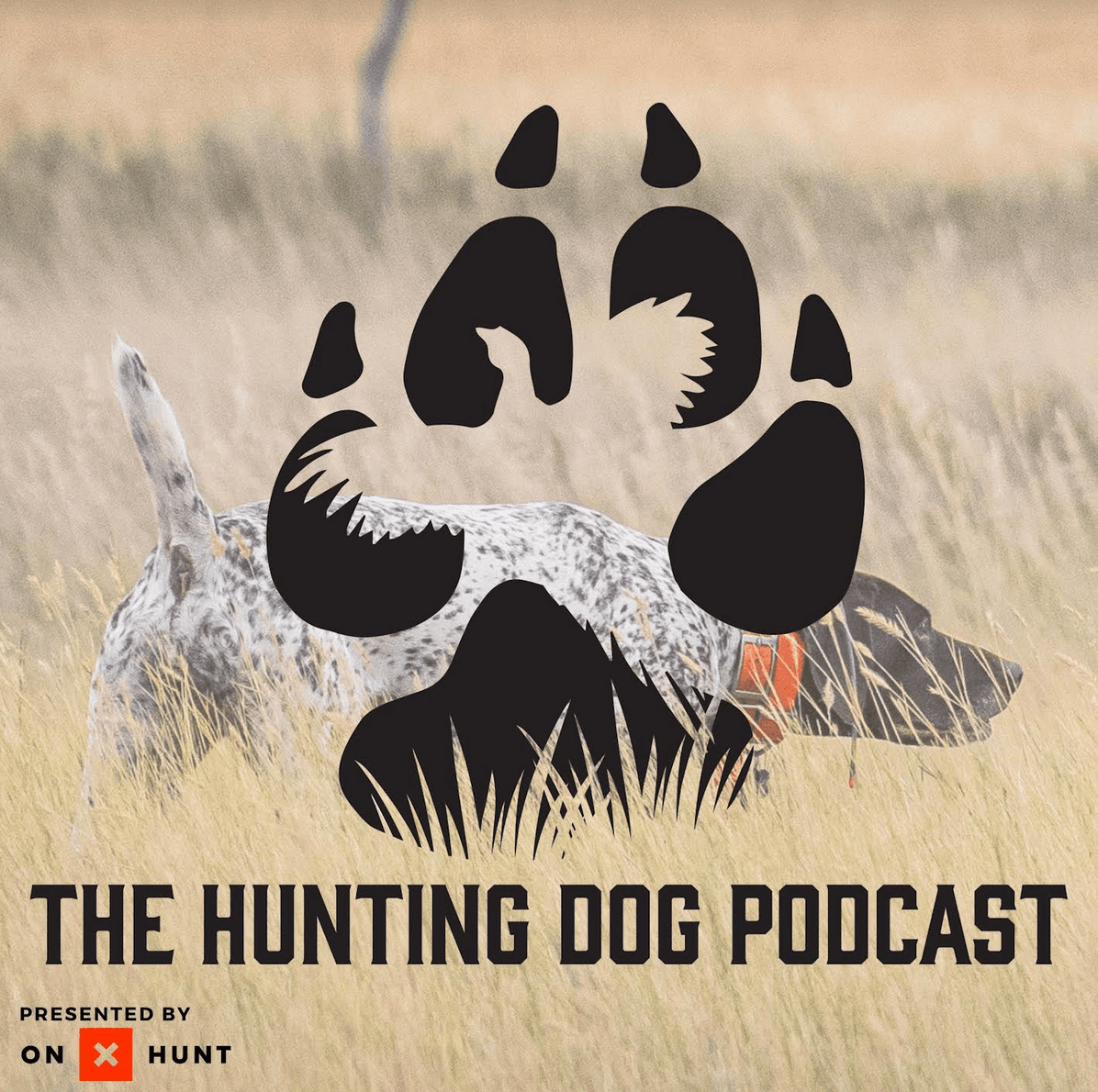 "Boss Copper" the future of shotshells
