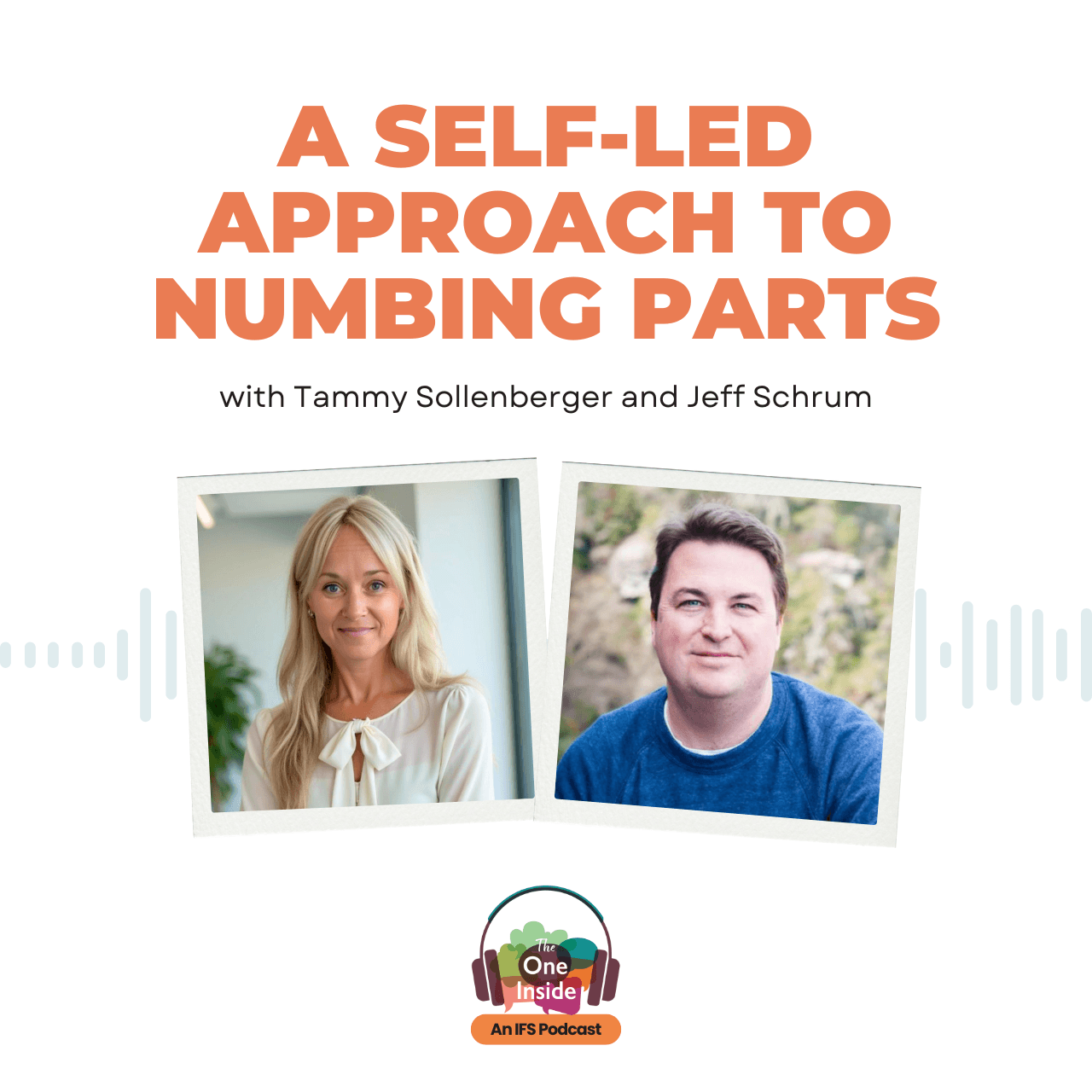 A Self-Led Approach to Numbing Parts with Tammy Sollenberger and Jeff Schrum