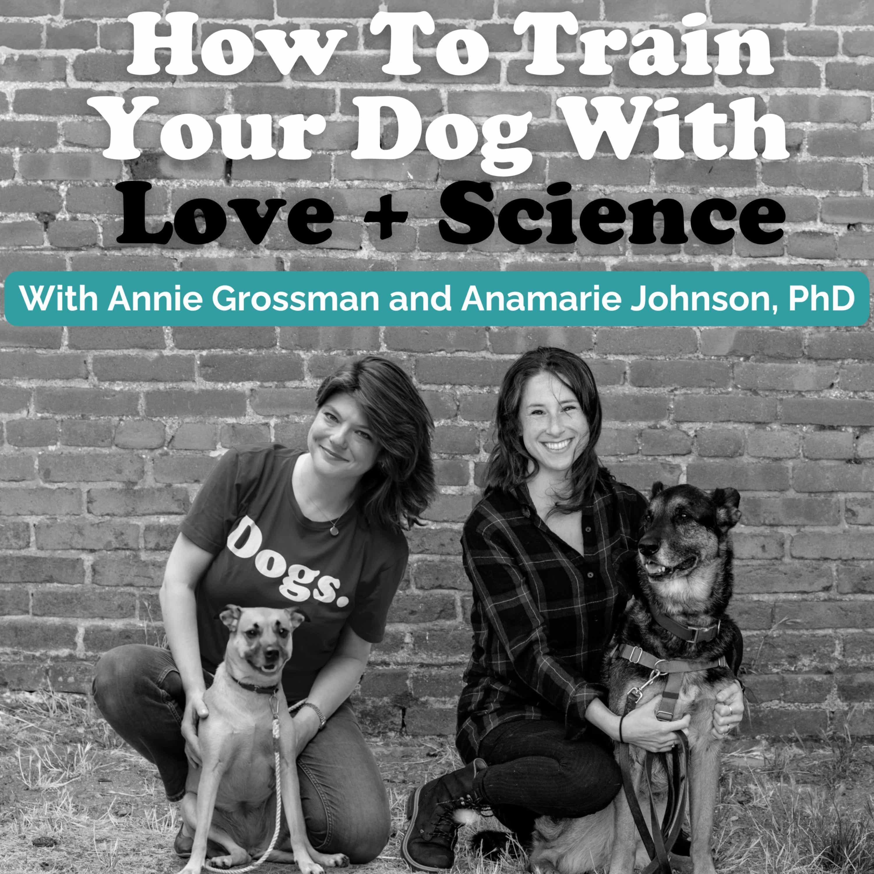 On being a dog run snob! Also: The case for spending money on pets, and how to help your dog have a good Thanksgiving (Hint: Be your dog's advocate!)