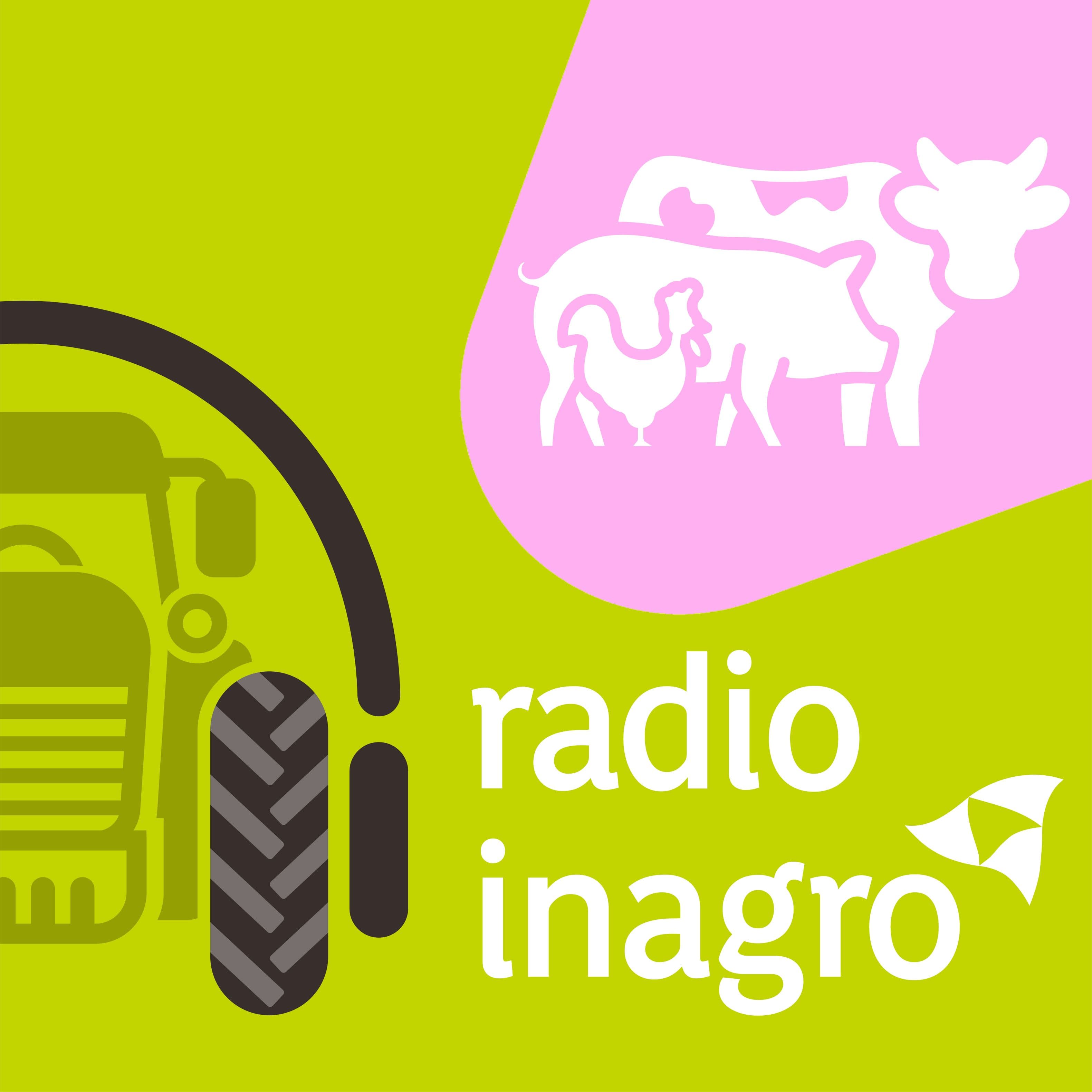 Veehouderij: bioveiligheid